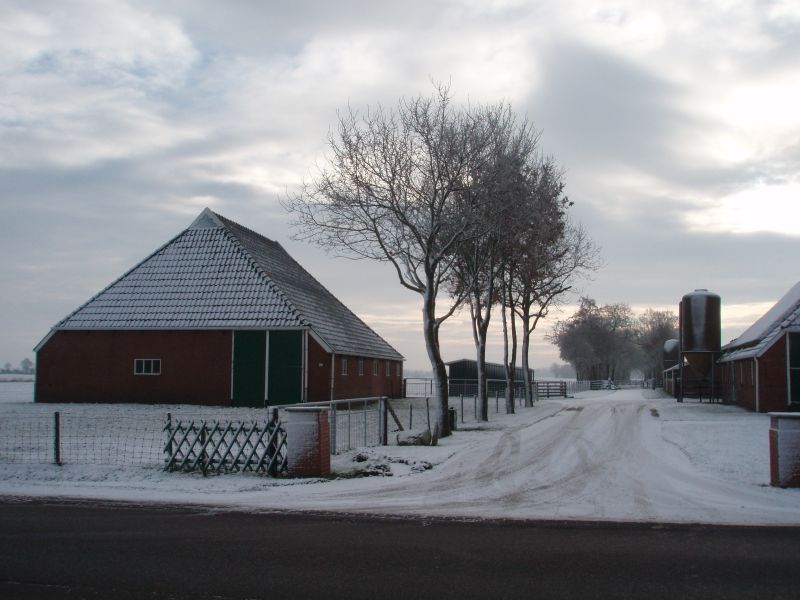 Schaapskooi Bûtewei