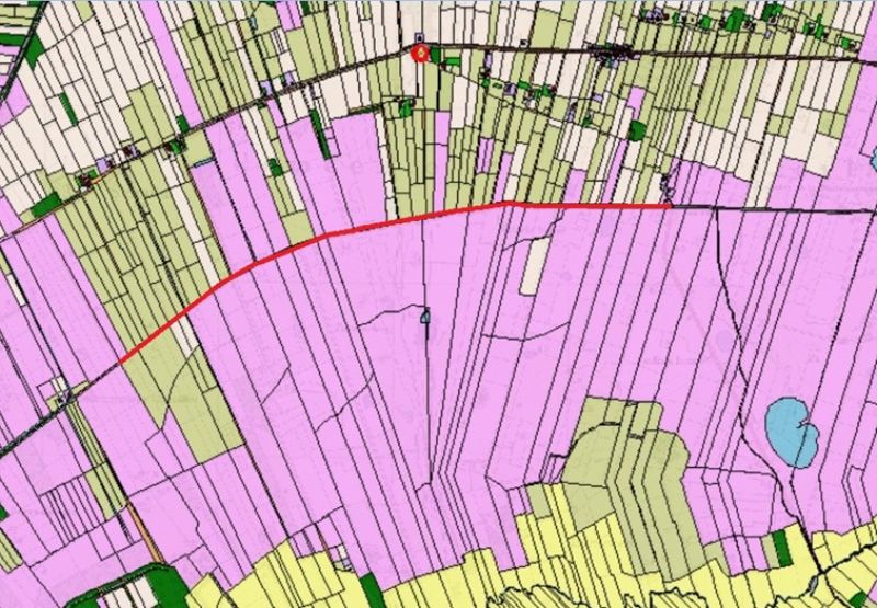 Ontginning heidevelden Bûtewei 